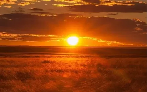 Ойрын өдрүүдэд +31 хэм хүрч халахыг анхааруулж байна